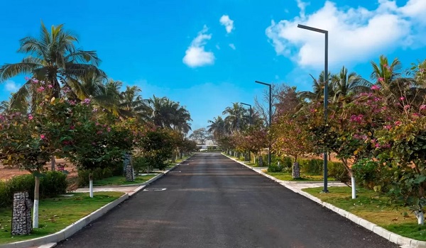 IVC-Road